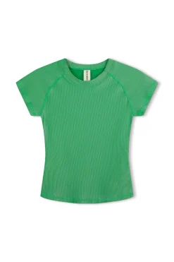 Zulu & Zephyr Stripe Rib Short Sleeve Rash Guard - Parrot Green Store